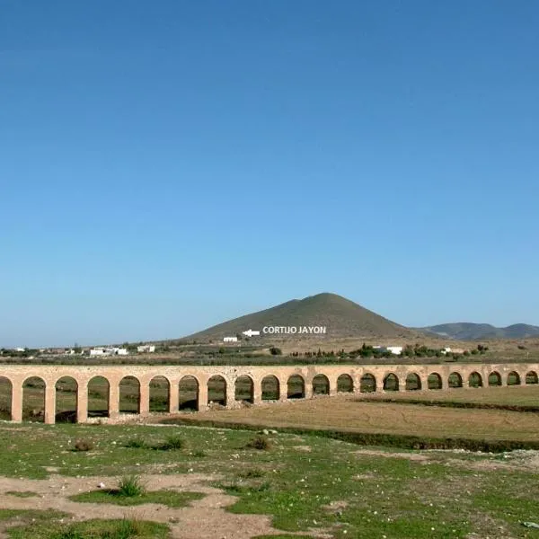 Cortijo Jayon，位于Fernán Pérez的酒店