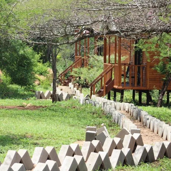Igula lodge，位于Manyoni Private Game Reserve的酒店