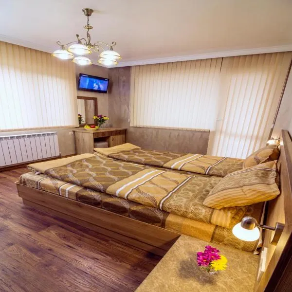 Trite Bora Guest House，位于Narechenski Bani的酒店