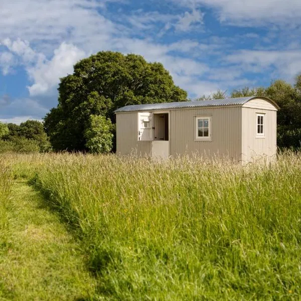 Romantic secluded Shepherd Hut Hares Rest，位于Southwick的酒店