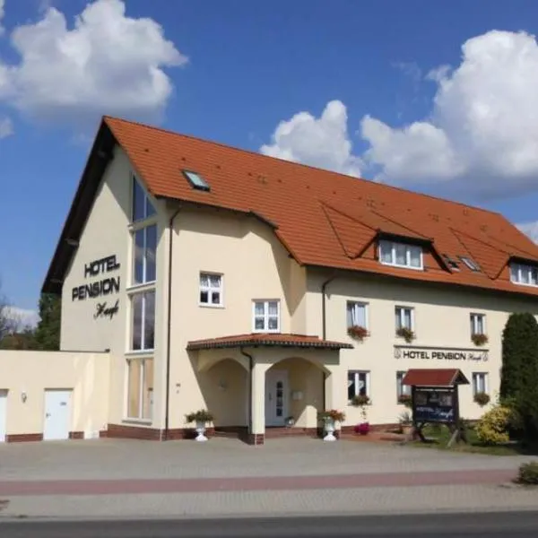 豪芬酒店，位于Drieschnitz的酒店