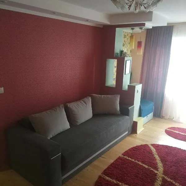 Apartment on Danyla Galytskogo 8A，位于Lysovichi的酒店