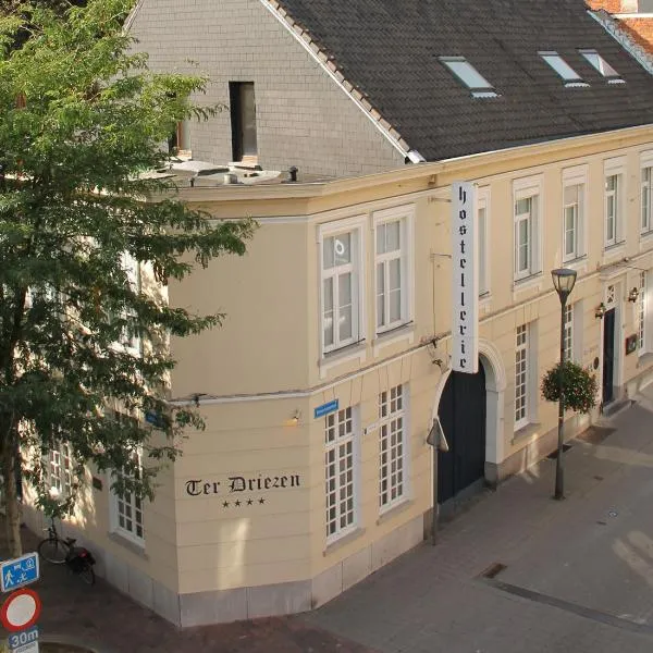 泰尔德里岑酒店，位于Weelde的酒店