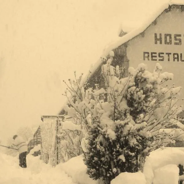 Hostal Restaurante Asador Pañart，位于别尔萨的酒店
