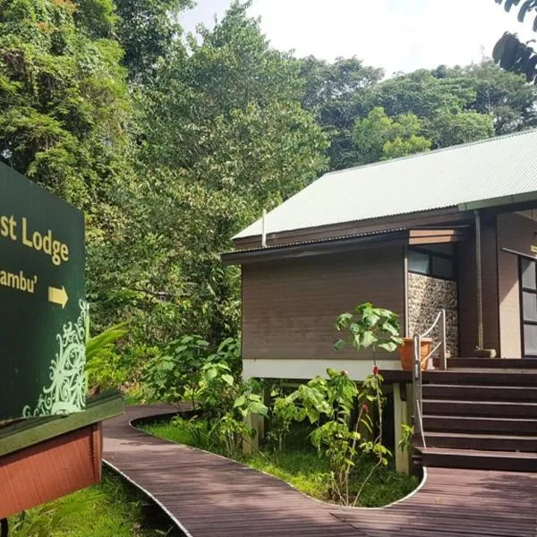 Mulu National Park，位于Long Terawan的酒店