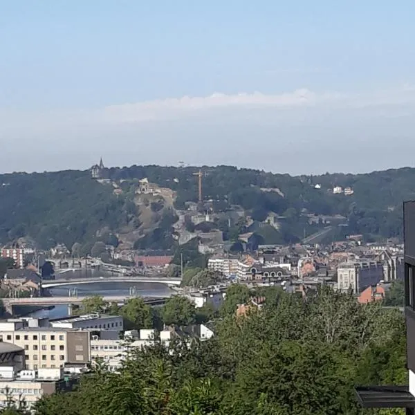 Bed vue sur vallée de la Meuse Namur，位于Franc-Waret的酒店