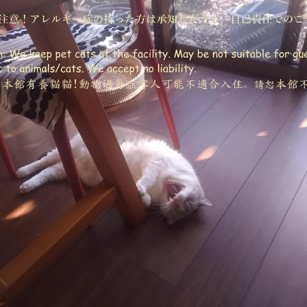 Guesthome Machiya Koza カーシェア可能 長期滞在割引あり，位于冲绳岛市的酒店