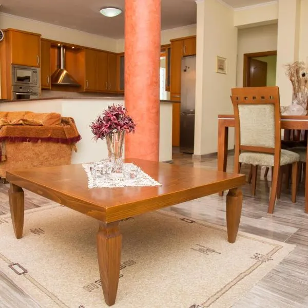 Veta's spacious central apartment，位于塞雷的酒店