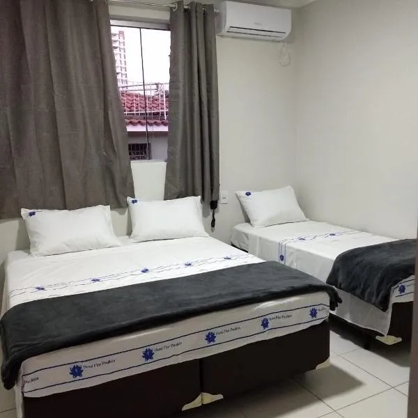 Hotel Flor Paulista，位于圣保罗的酒店