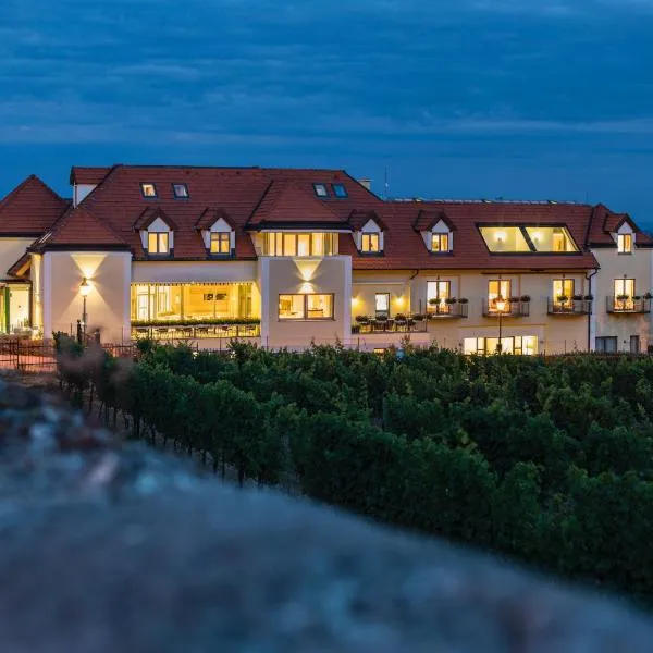 登霍夫酒店，位于贡波尔德斯基兴的酒店