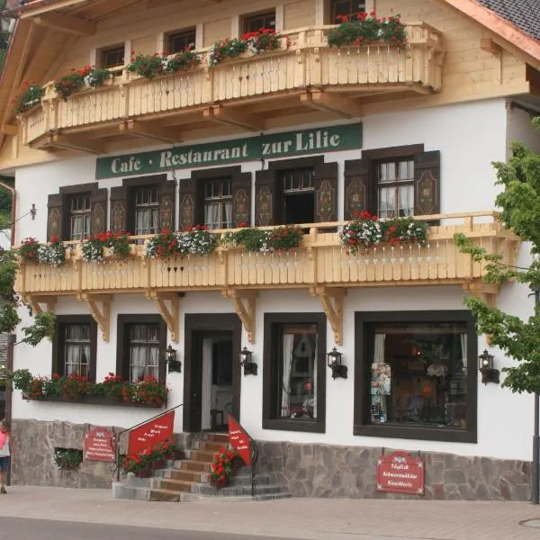 Gästehaus Zur Lilie，位于特里贝格的酒店