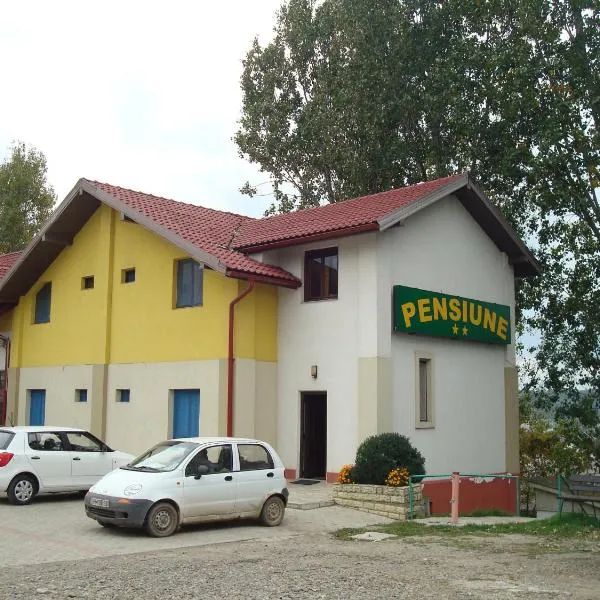 马克休憩酒店，位于Ionăşeni的酒店