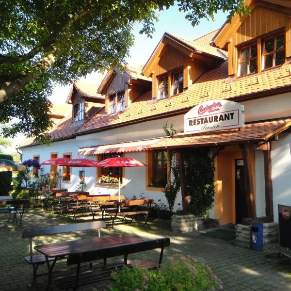 Pension & Restaurant U Koňské dráhy Holkov，位于Netřebice的酒店