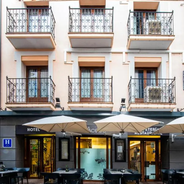 Hotel El Acebo，位于哈卡的酒店