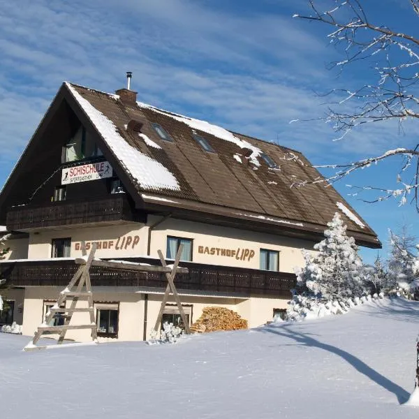 Sportgasthof Lipp，位于Kleinlobming的酒店
