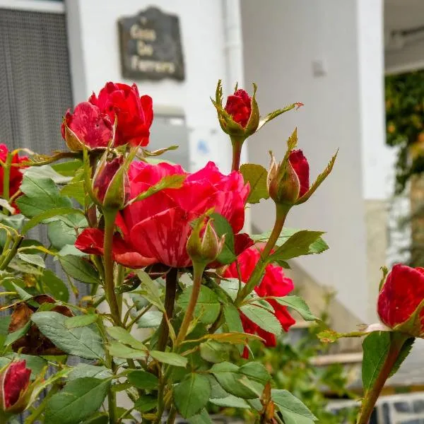 Casa do Ferreiro，位于戈伊什的酒店