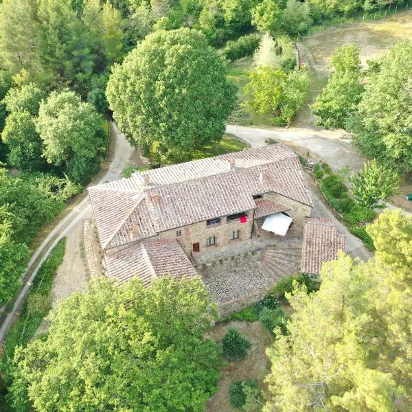 Agriturismo Podere Costarella，位于卡索莱德尔萨的酒店