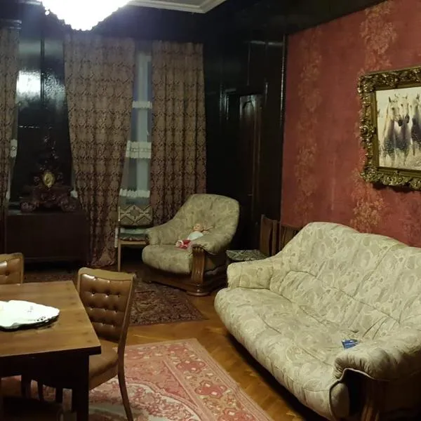 Shirim Guesthouse，位于Tsalenjikha的酒店