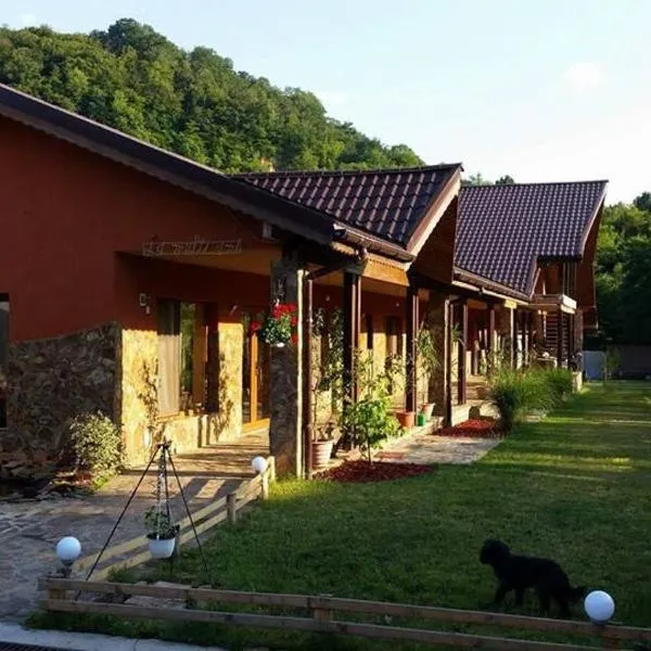 Pensiunea Raiul Munților，位于Sebiş的酒店