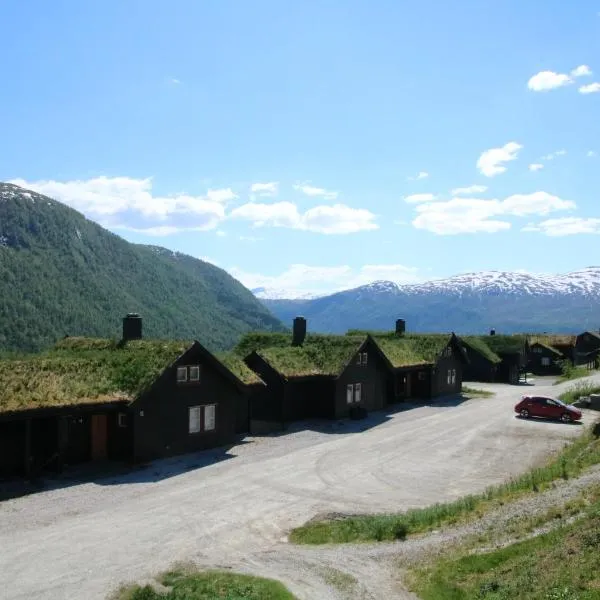 Myrkdalen Resort Øvre Bygardslii apartment，位于Øyjordi的酒店