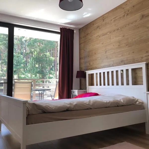 Borov park 3，位于韦林格勒的酒店