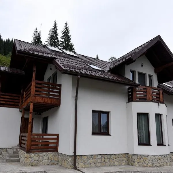 Casa Diaconu，位于丰杜摩尔多瓦的酒店