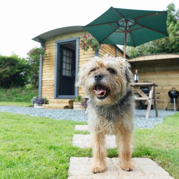 Buttles Shepherd's Hut，位于桑德斯富特的酒店