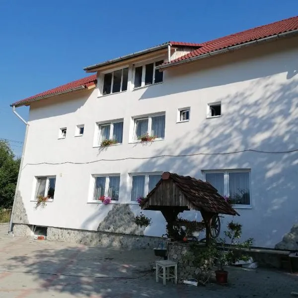 Casa Tonyza，位于Cisnădie的酒店