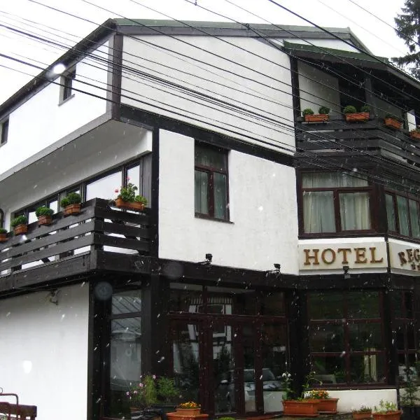 Hotel Regina，位于锡纳亚的酒店