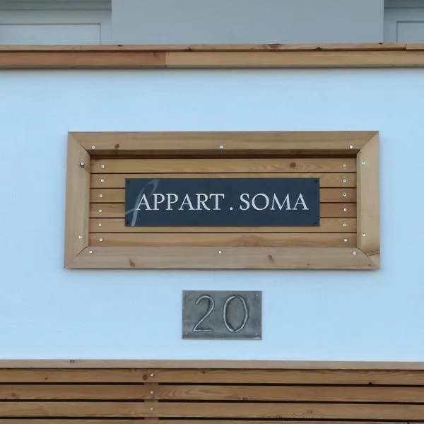 APPART SOMA，位于弗劳恩基兴的酒店