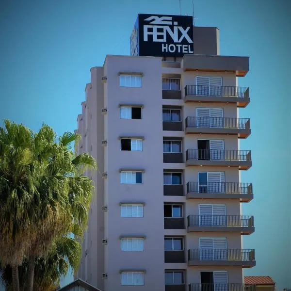 Fenix Hotel Pouso Alegre，位于Borda da Mata的酒店