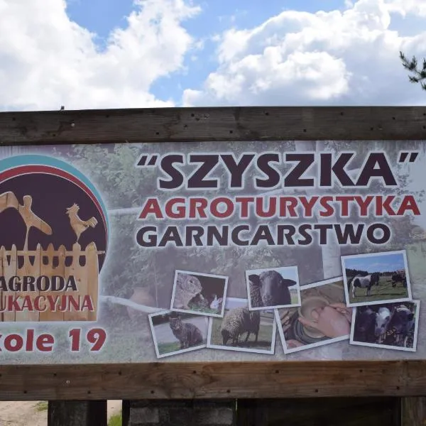 Agroturystyka SZYSZKA，位于Dobrzyń的酒店