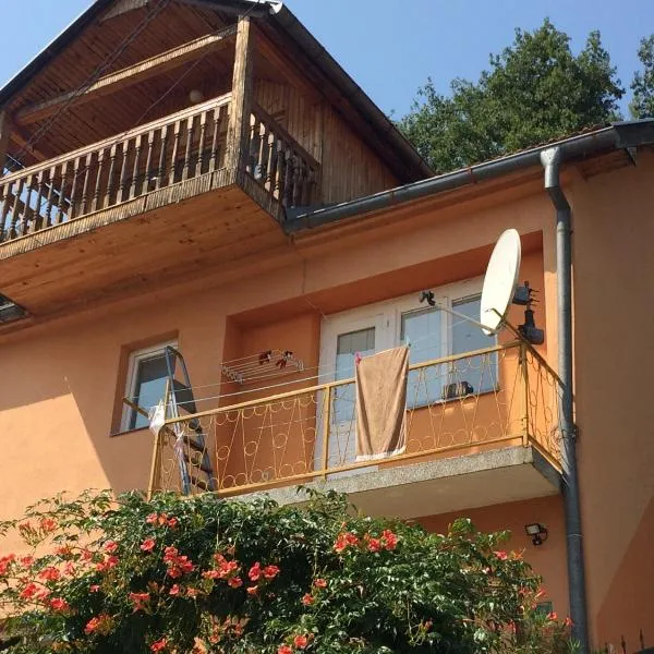 Goražde-Centar Apartment，位于Osječani的酒店