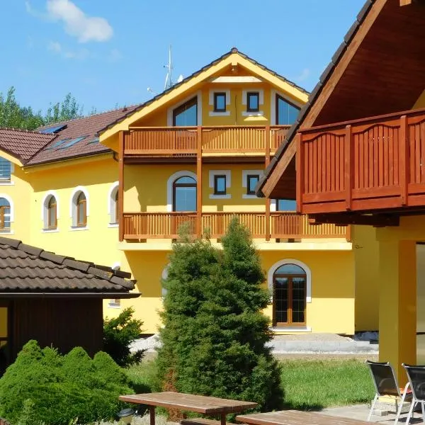 Villa Petko，位于多尔尼斯莫克维克的酒店
