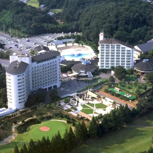 传统酒店，位于Ogawa的酒店