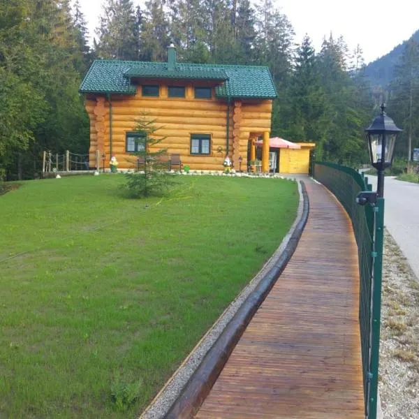 Ferienwohnungen Blockhaus - Zwergenhäusl Grünau im Almtal，位于格吕瑙的酒店