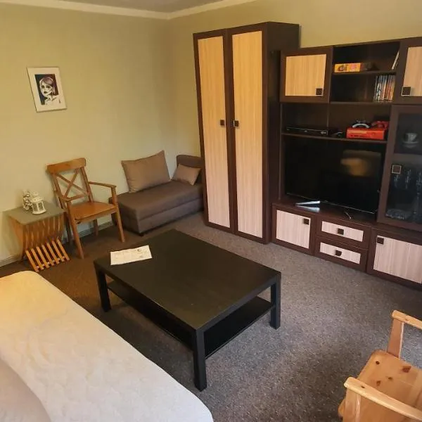 Apartament RSL，位于鲁达希隆斯卡的酒店