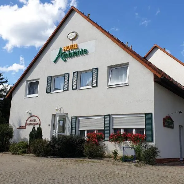 Ambiente Hotel garni，位于Geilsdorf的酒店