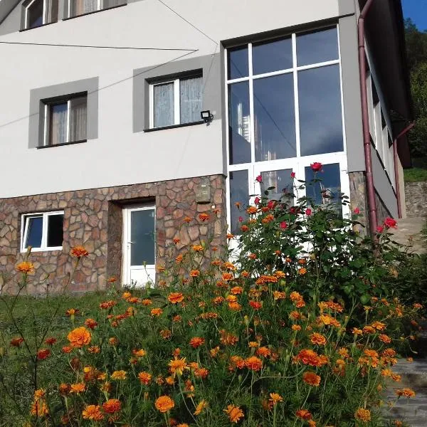 Casa din prund Ocolis，位于Ocoliş的酒店