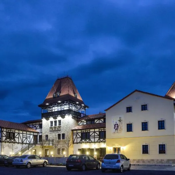 皇家城堡酒店，位于Bazoşu Nou的酒店