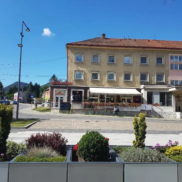 Hotel Baník Handlová，位于汉德洛瓦的酒店