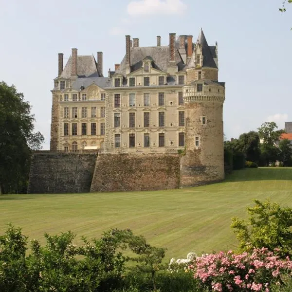 布里萨克城堡旅馆，位于Faye-dʼAnjou的酒店