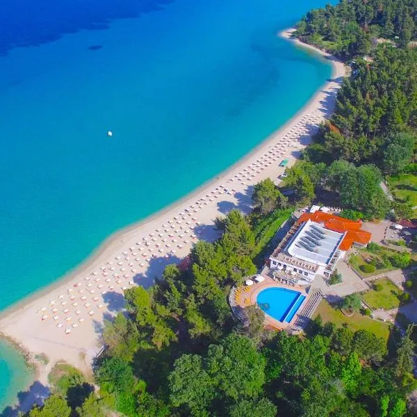 亚历山大海滩酒店，位于Kassandrinón的酒店