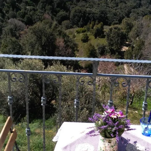 Stellaria casa vacanze in montagna panorama stupendo Sardegna，位于Sadali的酒店