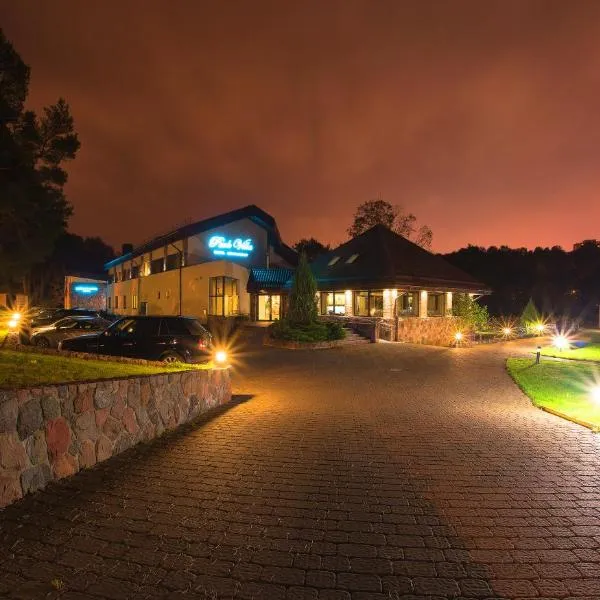 公园别墅酒店，位于Didžiosios Kabiškės的酒店