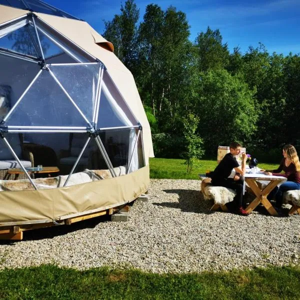 Wild Caribou Dome，位于Skoganvarre的酒店