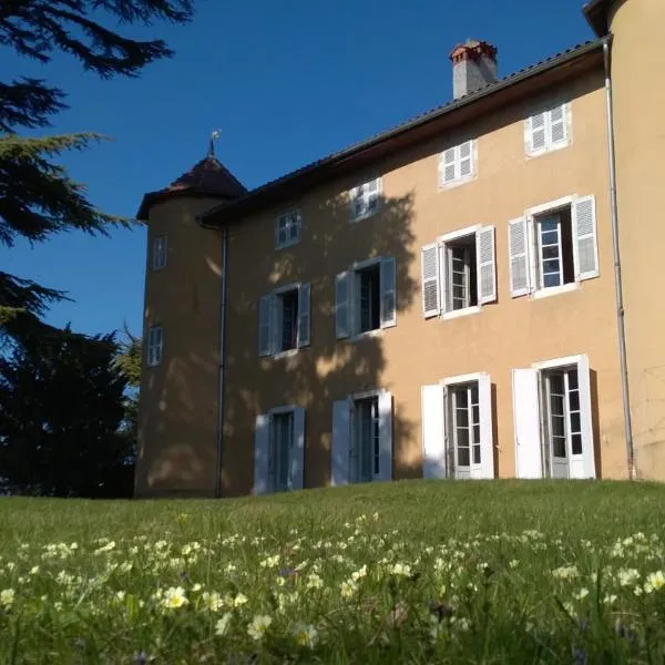 Château La Violette，位于Saint-Pierre-de-Soucy的酒店