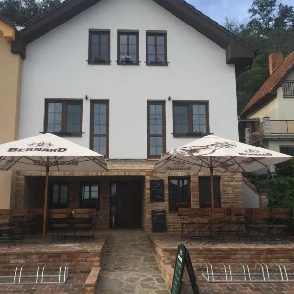 Penzion Šedivý，位于斯特拉霍廷的酒店