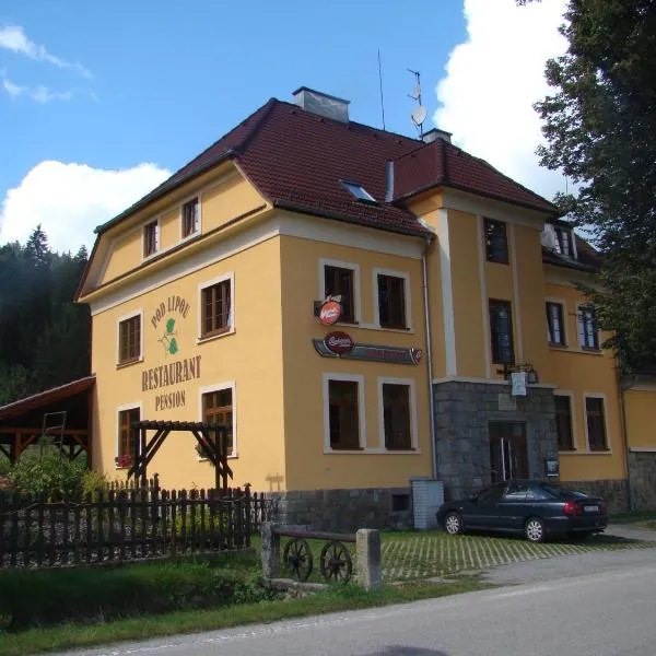 Pension Pod Lipou，位于Loučovice的酒店