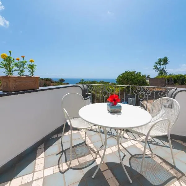 Sorgeto Garden，位于伊斯基亚的酒店